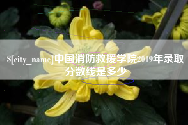 中国澳门中国消防救援学院2019年录取分数线是多少