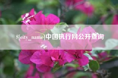 中国澳门中国执行网公开查询