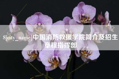 中国澳门中国消防救援学院简介及招生章程指挥部