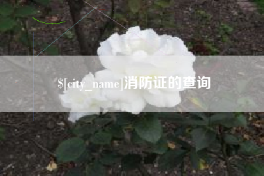 中国澳门消防证的查询
