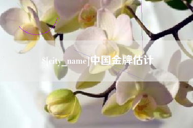 中国澳门中国金牌估计