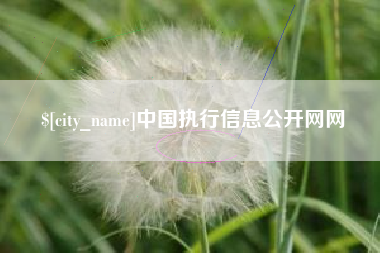 中国澳门中国执行信息公开网网