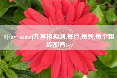 中国澳门九宫格规则,每行,每列,每个粗线都有1-9