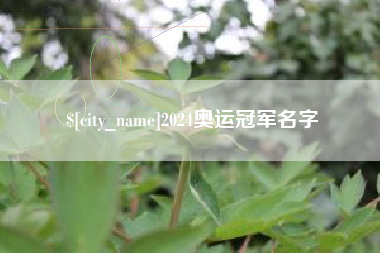 中国澳门2024奥运冠军名字