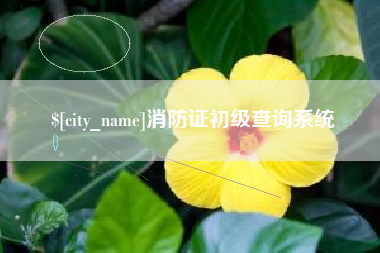 中国澳门消防证初级查询系统