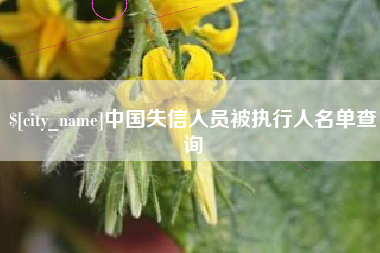 中国澳门中国失信人员被执行人名单查询