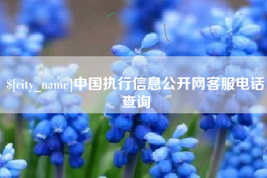 中国澳门中国执行信息公开网客服电话查询