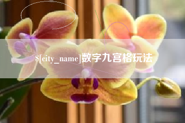 中国澳门数字九宫格玩法