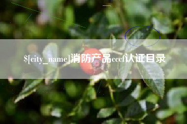 中国澳门消防产品cccf认证目录