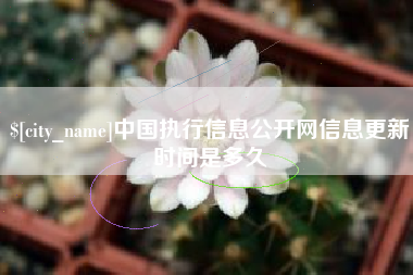 中国澳门中国执行信息公开网信息更新时间是多久