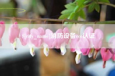 中国澳门消防设备ccc认证