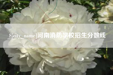 中国澳门河南消防学校招生分数线