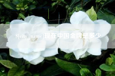 中国澳门现在中国金牌是多少