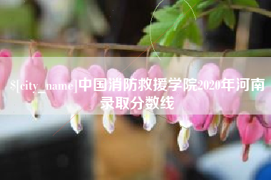 中国澳门中国消防救援学院2020年河南录取分数线