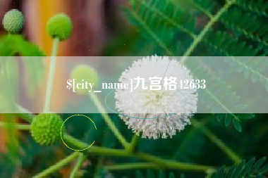 中国澳门九宫格42633