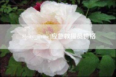 中国澳门应急救援员价格