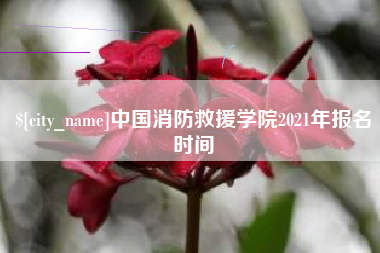 中国澳门中国消防救援学院2021年报名时间