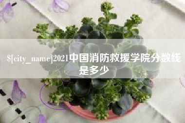 中国澳门2021中国消防救援学院分数线是多少