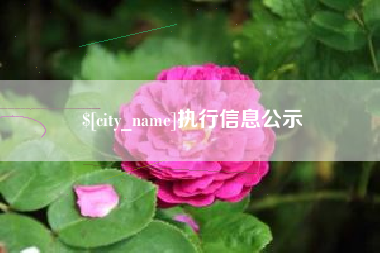 中国澳门执行信息公示