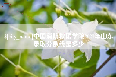 中国澳门中国消防救援学院2021年山东录取分数线是多少