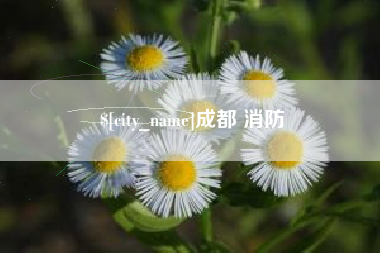 中国澳门成都 消防