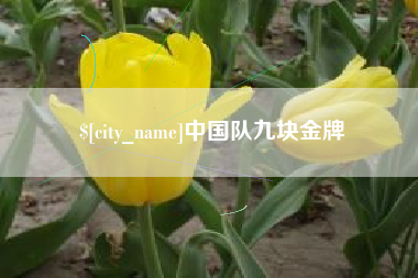 中国澳门中国队九块金牌
