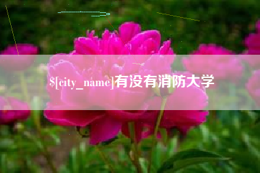 中国澳门有没有消防大学