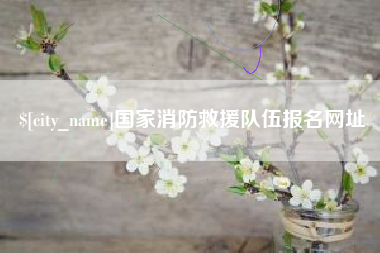 中国澳门国家消防救援队伍报名网址