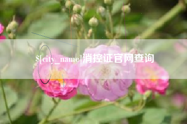 中国澳门消控证官网查询