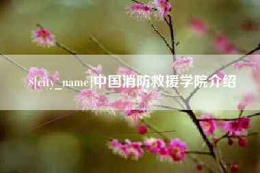 中国澳门中国消防救援学院介绍