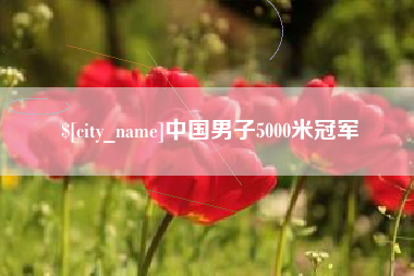中国澳门中国男子5000米冠军