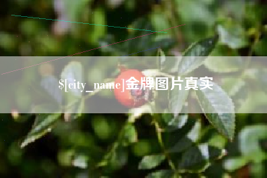 中国澳门金牌图片真实