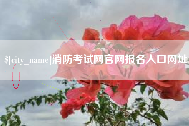 中国澳门消防考试网官网报名入口网址