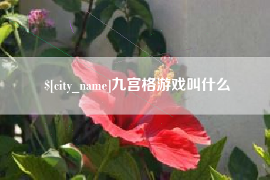中国澳门九宫格游戏叫什么