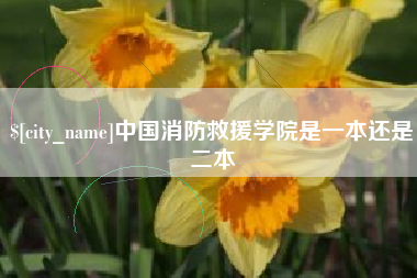 中国澳门中国消防救援学院是一本还是二本