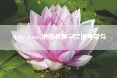 中国澳门消防救援学院报考条件