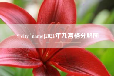 中国澳门2021年九宫格分解图