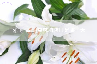 中国澳门森林消防日是哪一天