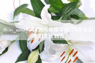 中国澳门中国消防救援学院2020年在山东招生计划表