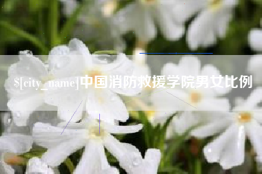 中国澳门中国消防救援学院男女比例
