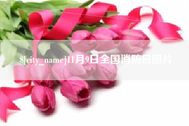 中国澳门11月9日全国消防日图片
