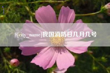 中国澳门我国消防日几月几号