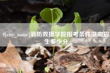 中国澳门消防救援学院报考条件湖南招生多少分