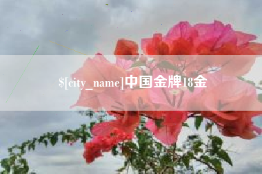 中国澳门中国金牌18金