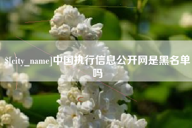 中国澳门中国执行信息公开网是黑名单吗