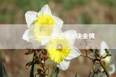 中国澳门奥运会39块金牌