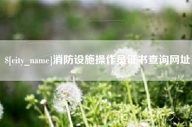 中国澳门消防设施操作员证书查询网址