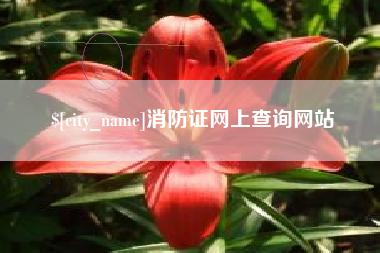 中国澳门消防证网上查询网站