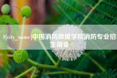 中国澳门中国消防救援学院消防专业招生简章