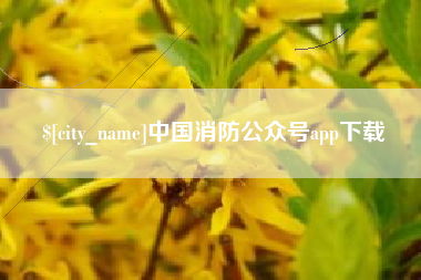 中国澳门中国消防公众号app下载